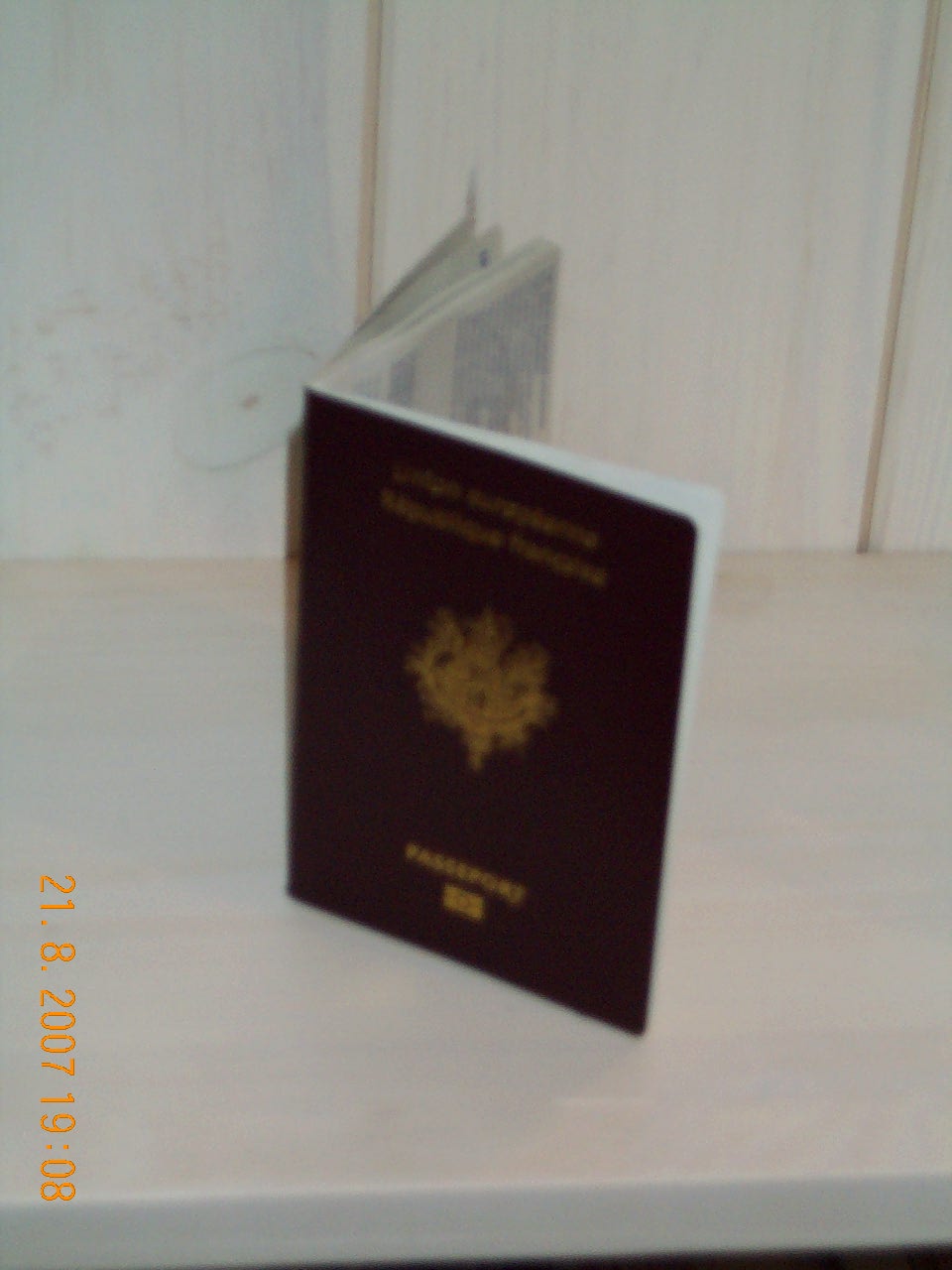 [DCP_4785.JPG]