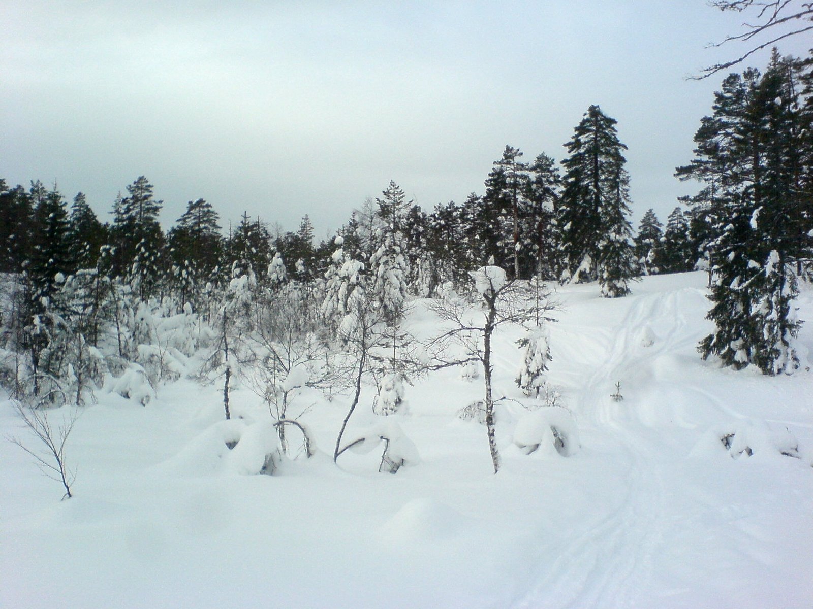 [DSC06602.JPG]
