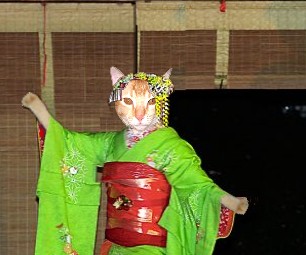 [geisha.jpg]