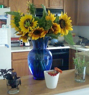 sunflowers in vase
