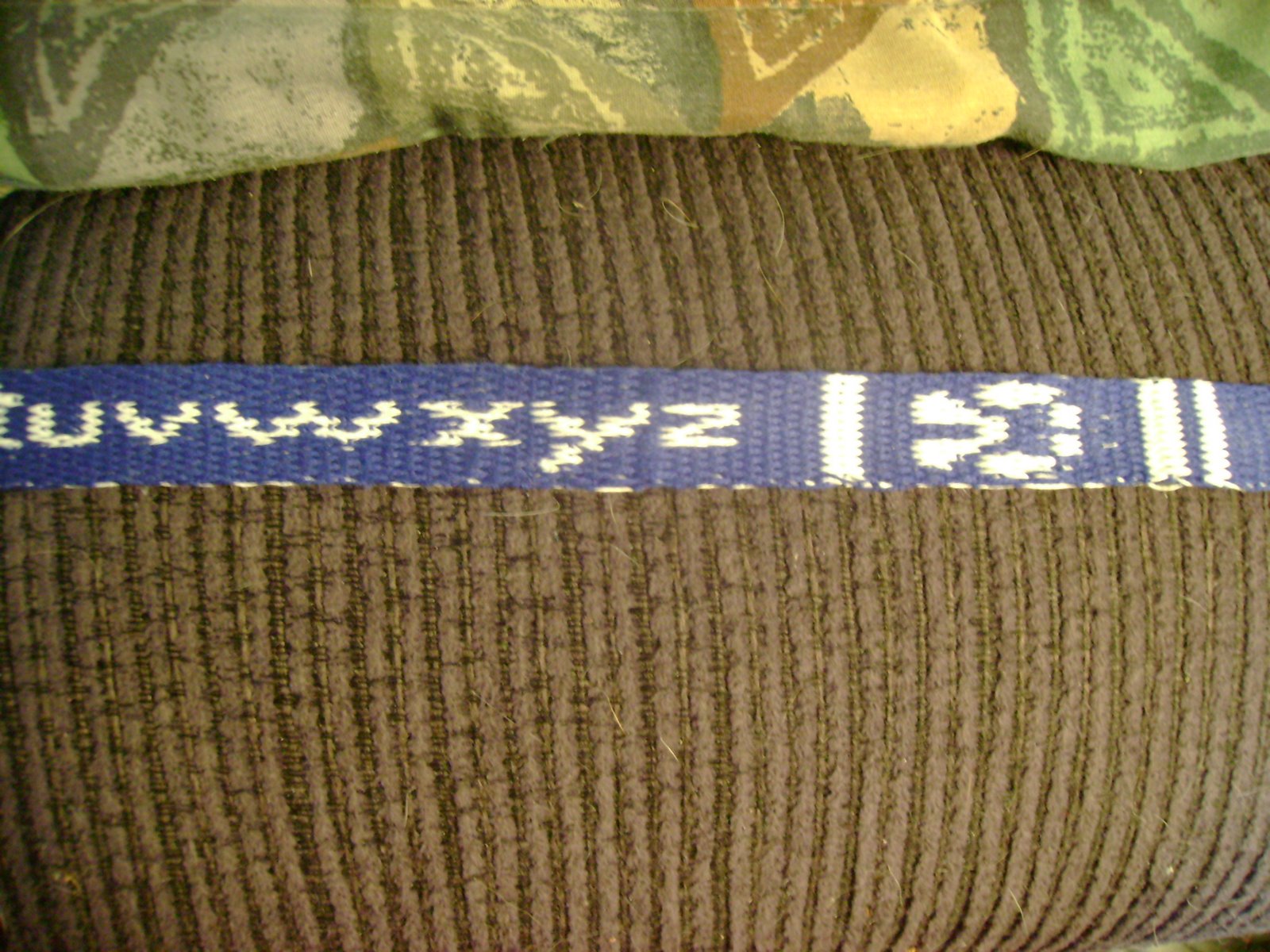 [DSC02559.JPG]