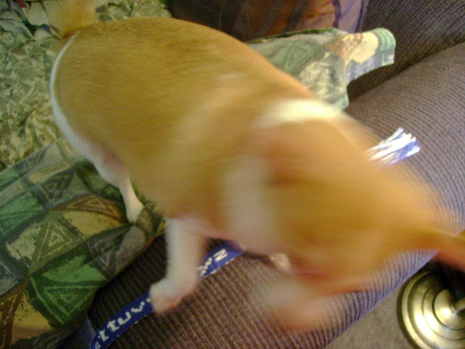 [DSC02560.JPG]