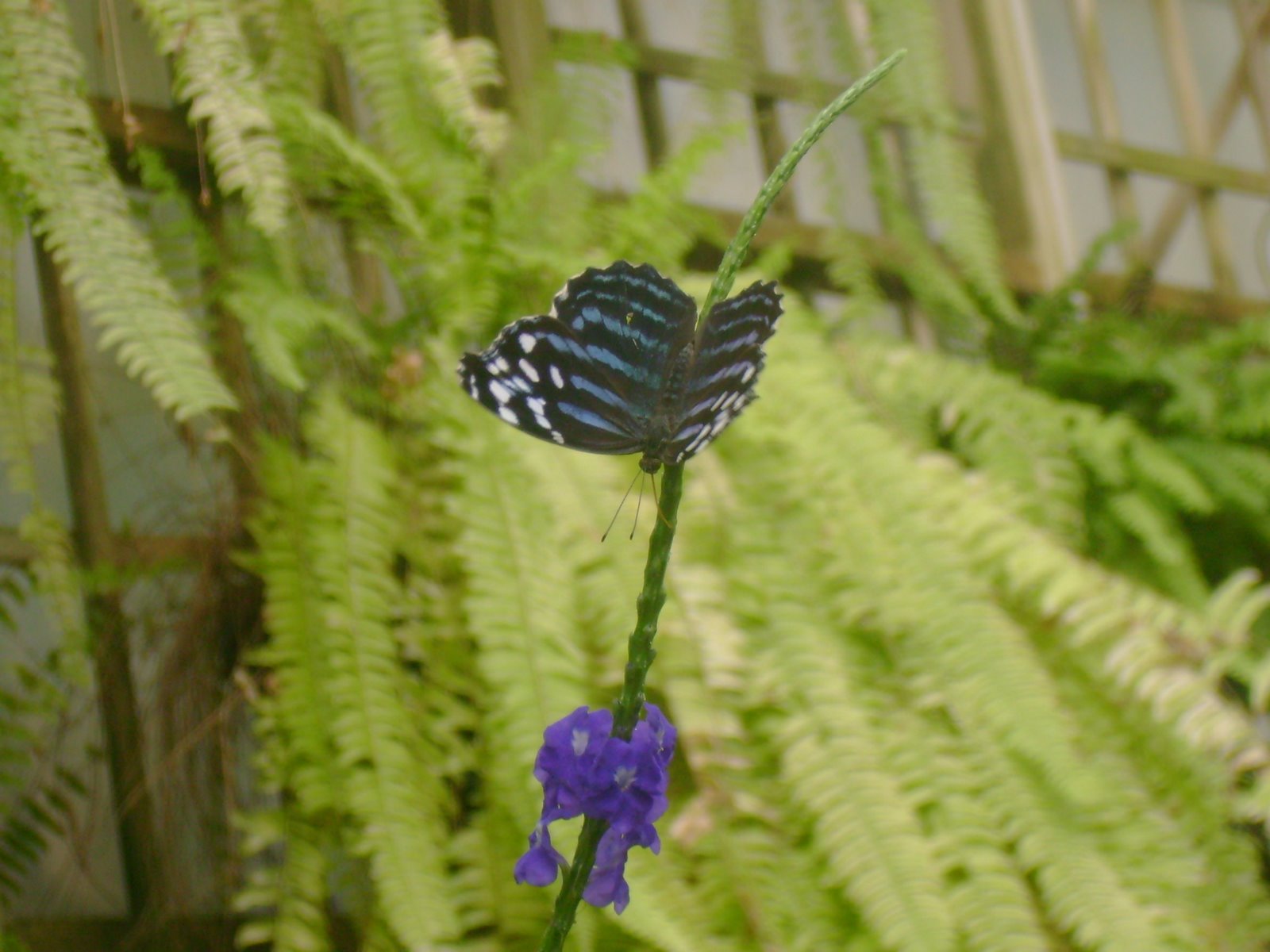 [DSC02571.JPG]