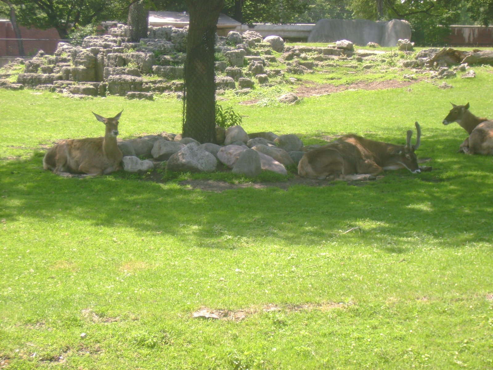 [DSC02601.JPG]
