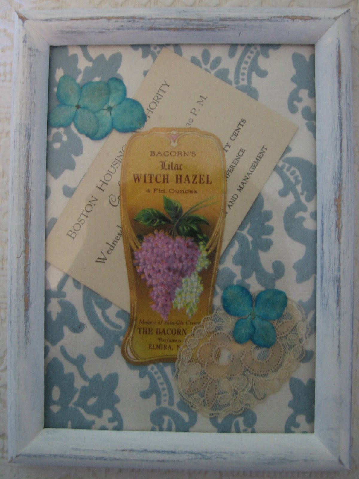 [Witch+Hazel.JPG]