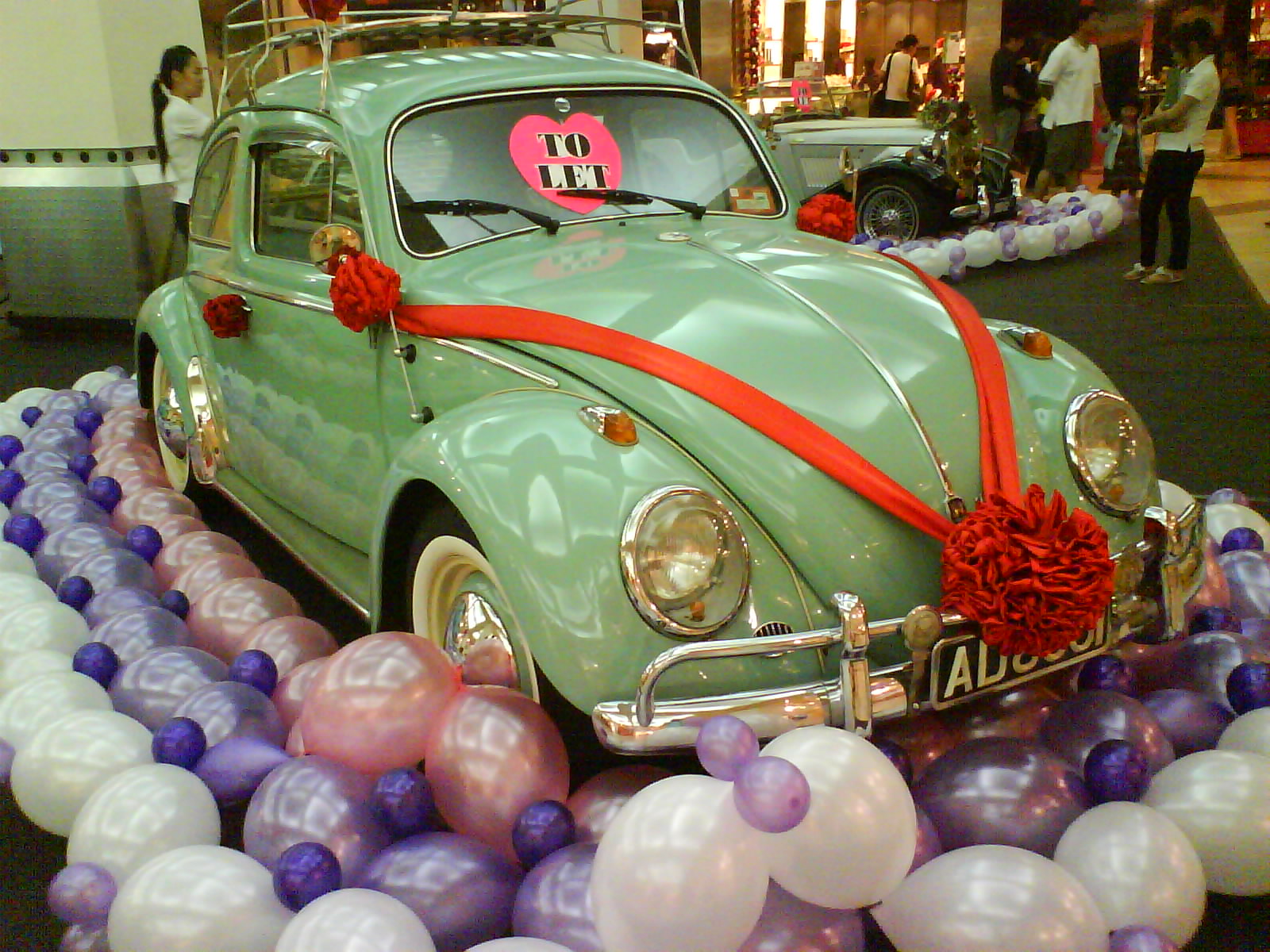 [DSC01367.JPG]