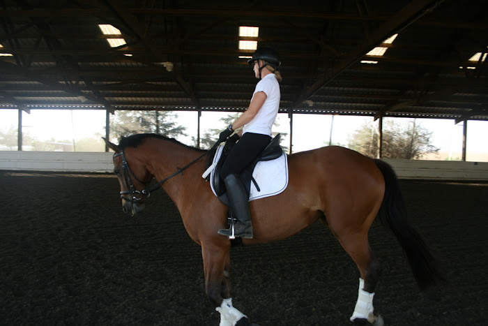 Sarah and Roxy cantering 8/2008