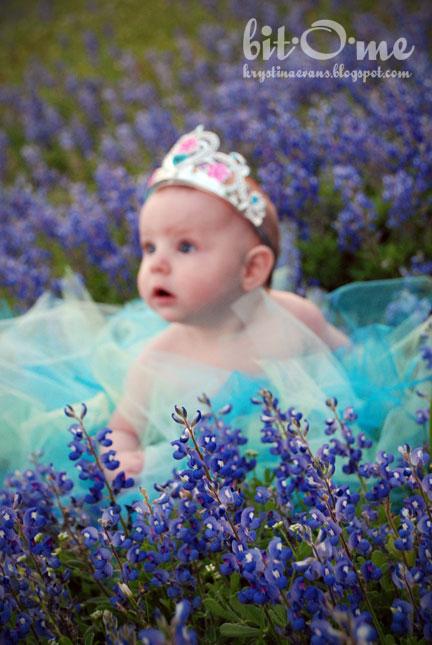 [Bluebonnets-8.jpg]