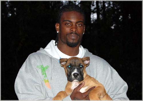 [michael+vick.jpg]
