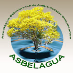 ASBELAGUA