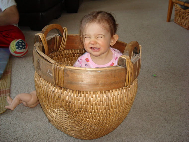 I found a very cool basket at the Jennette's