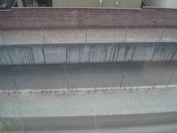 We got so much rain, that in 20 minutes it looked like the Colorado River behind our house!