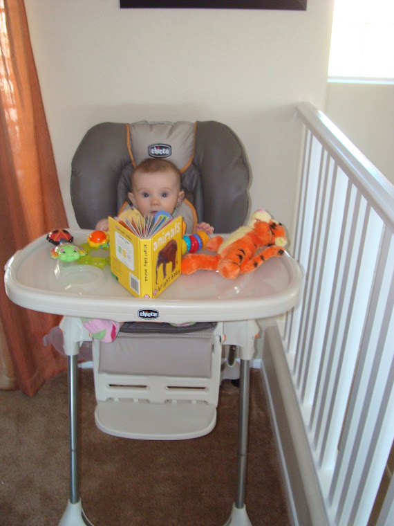 First time in my high chair. Getting used to it for my first time eating real food!