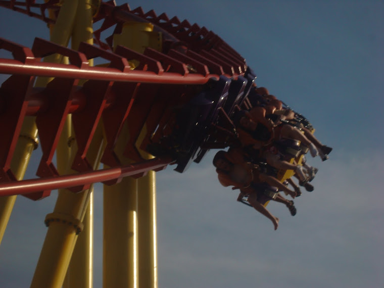 That's Mommy and Cousin Josh front row on the biggest coaster there!!