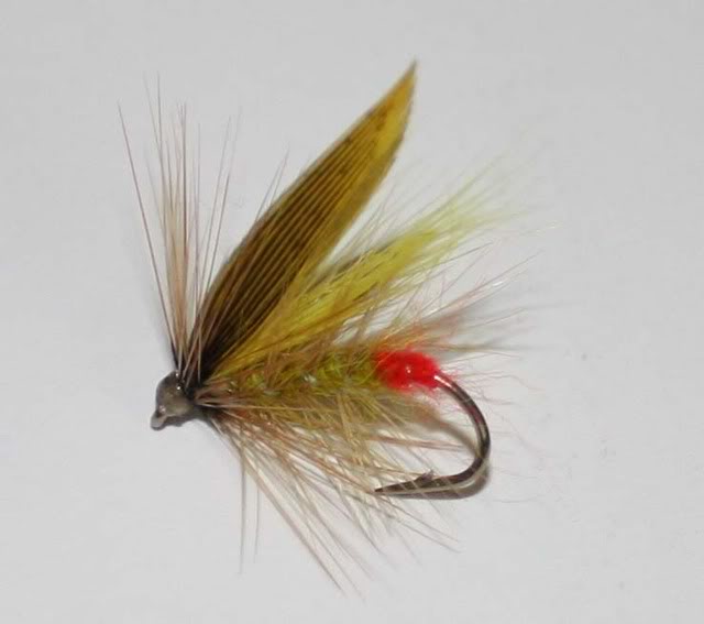 alibaba express picrichardson