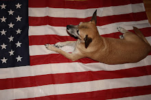 Max Being Patriotic
