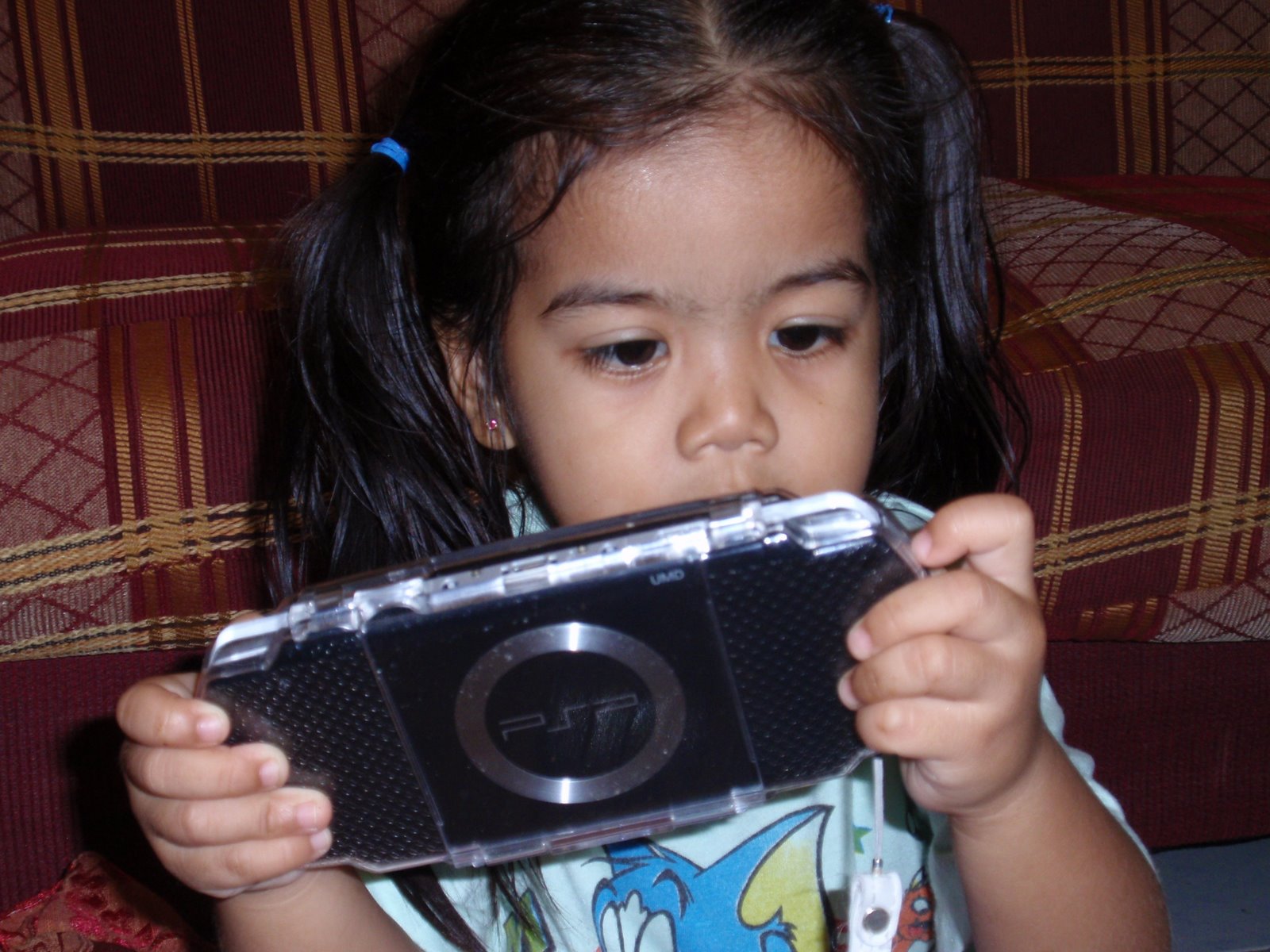 [PA290475.JPG]