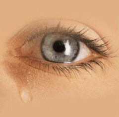 eyes-3-4.gif