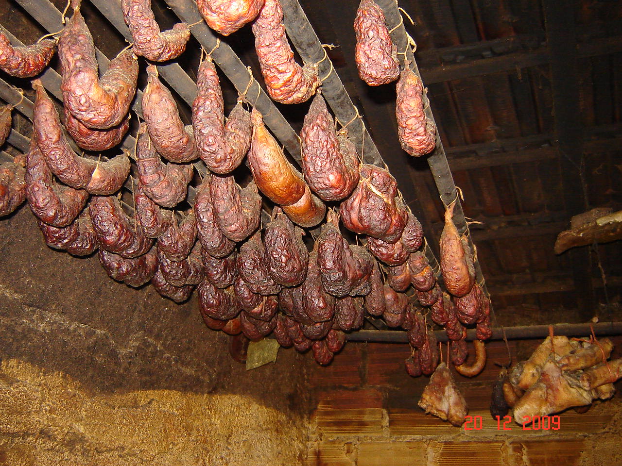 [DSC08593.JPG]