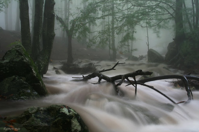 MONTSENY EMPLUJAT