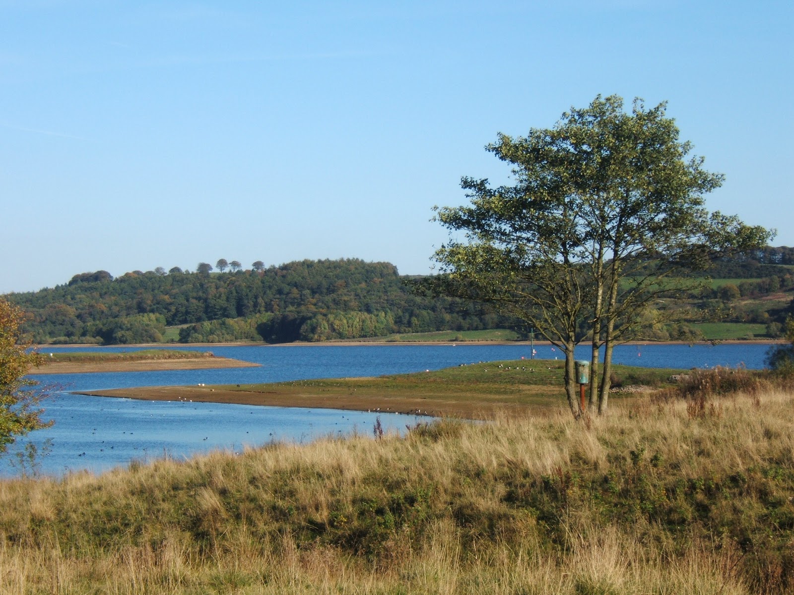 Little Sealed Packages Carsington Water