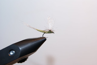 Flugfiske Flugbindning