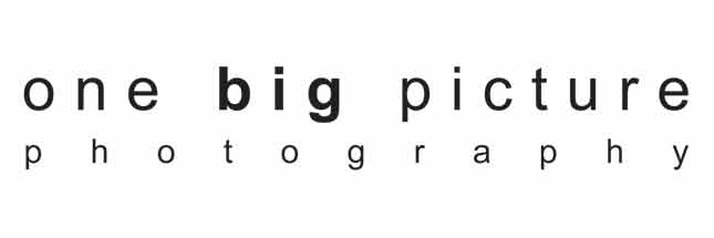 one big picture photography