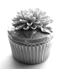 [flower_cupcakes2.jpg]