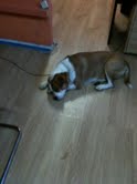 [pochi+minuti.jpeg]