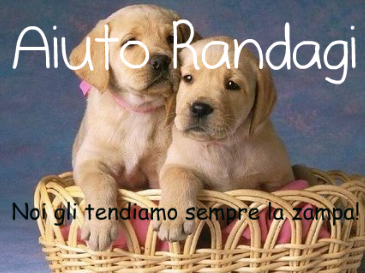 Caricamento...