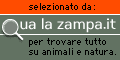SEGNALATO DA
