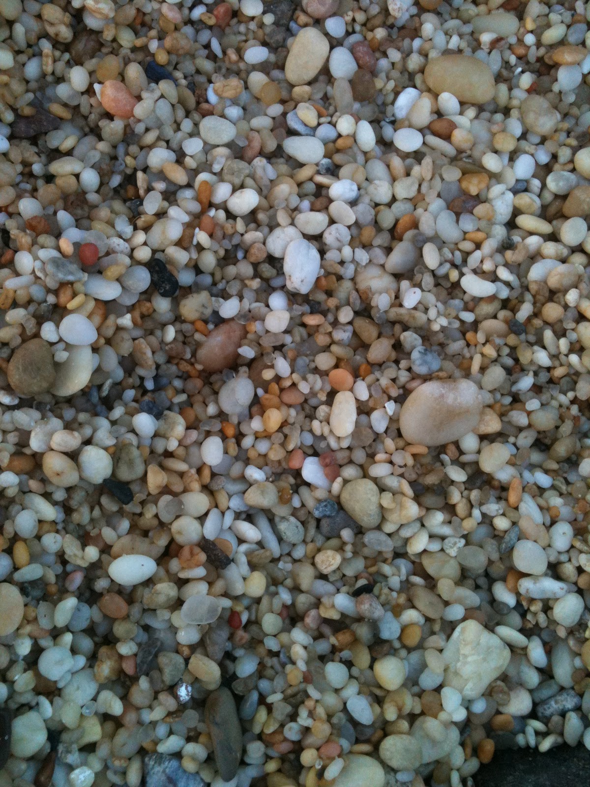Cottage Beach House Searching For Beach Glass In Cape May