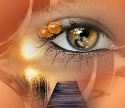 download Female Ascetics in Hinduism