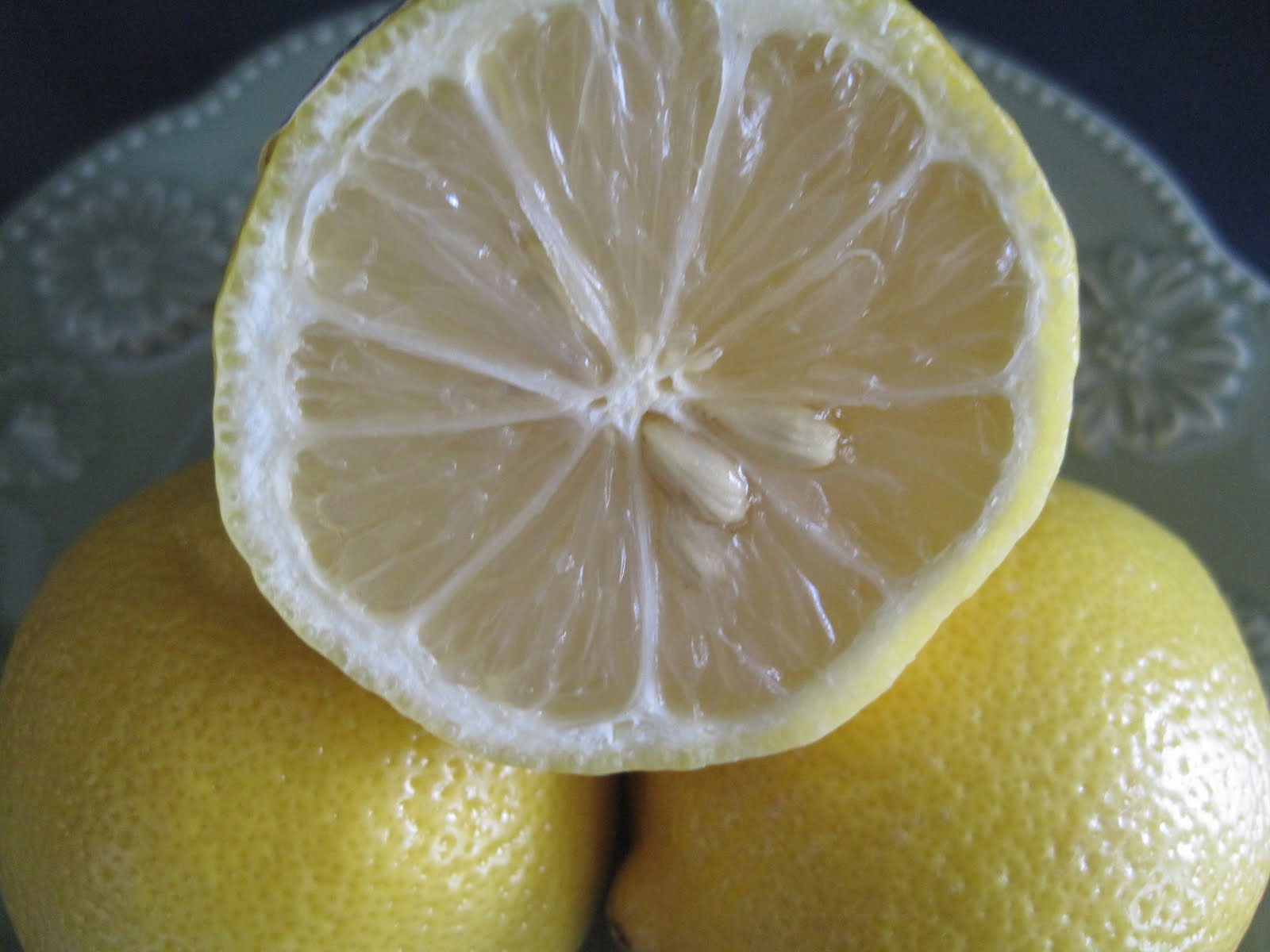 [lemons+031.JPG]