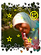 Foto saya