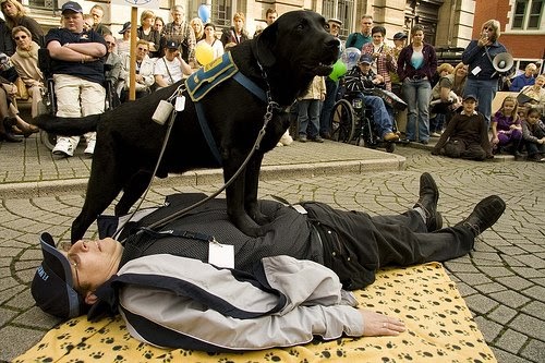 Dr P S Dog Dr P S Dog
