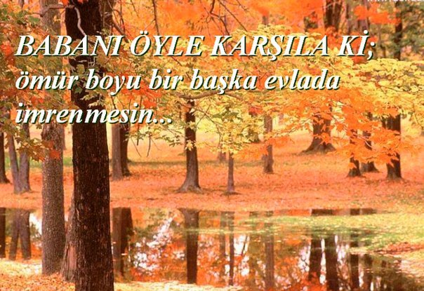 [=?ISO-8859-9?Q?baban=FD_=F6yle_kar=FE=FDlaki=2Ejpg?=-736273]