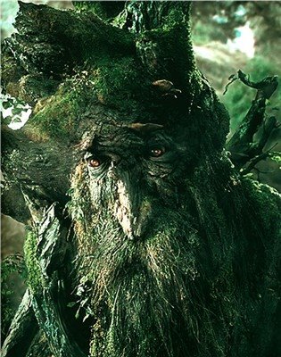 [treebeard.jpg]