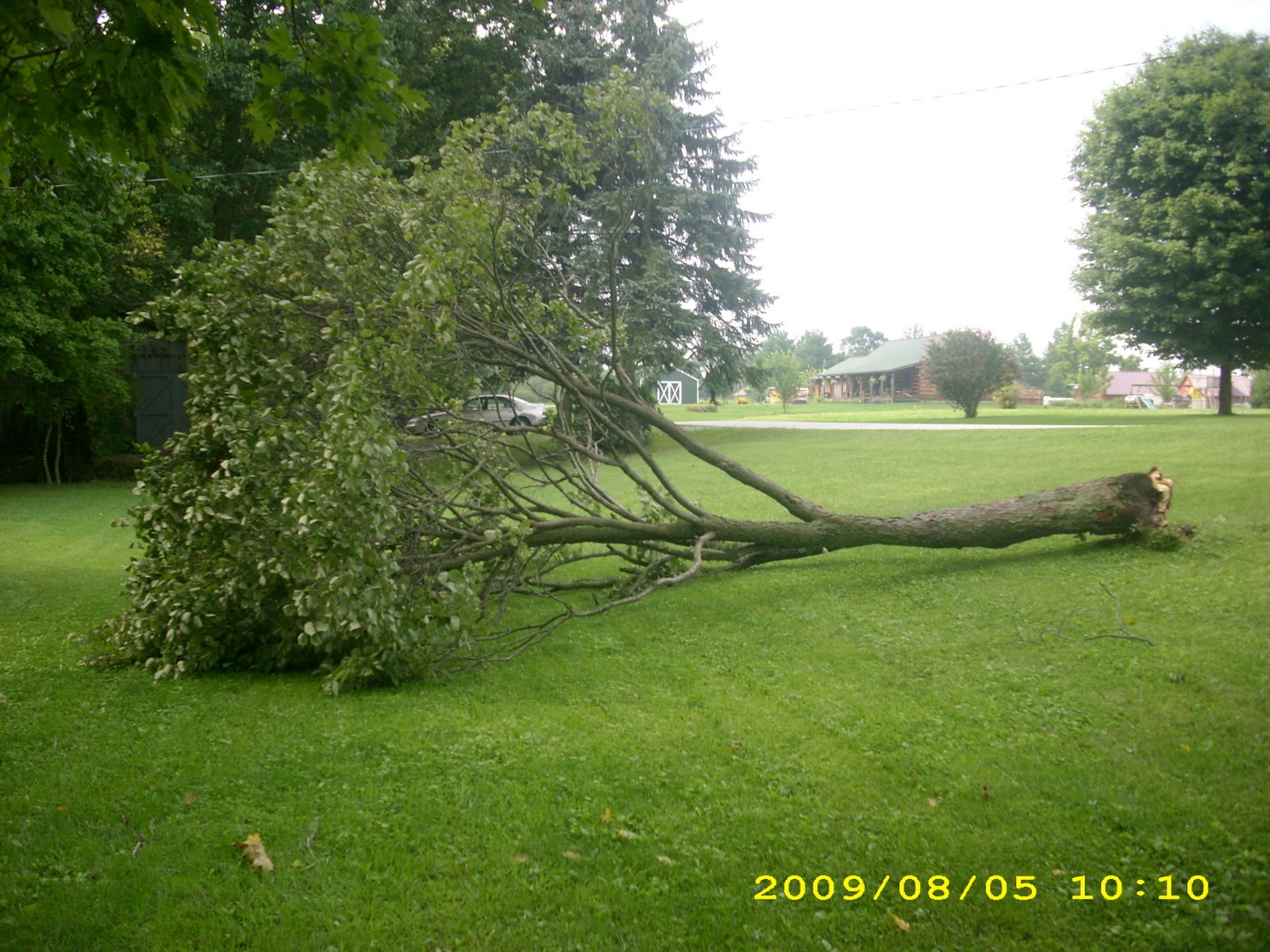[DSCI0871.JPG]