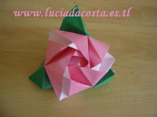 [CCCuboRosa.JPG]
