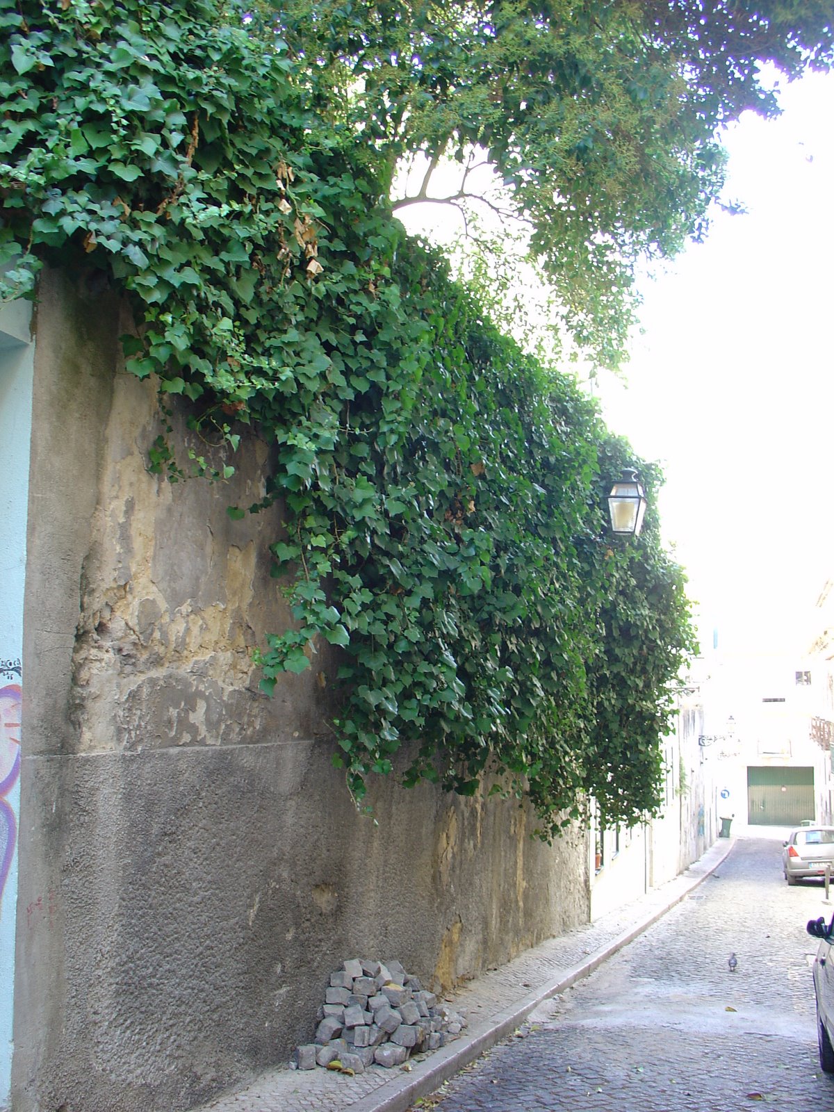 [DSC06354.JPG]