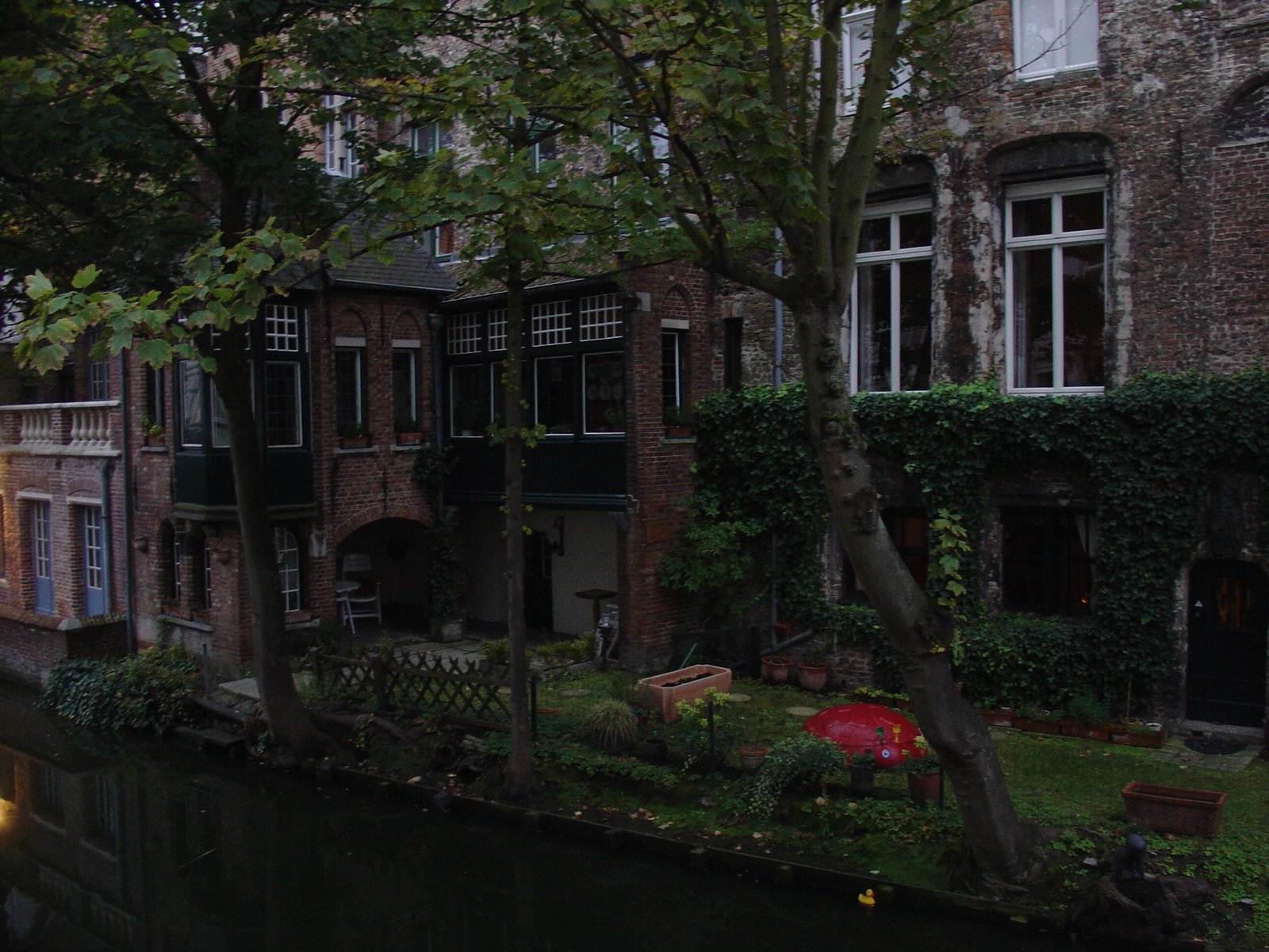 [DSC06553.JPG]