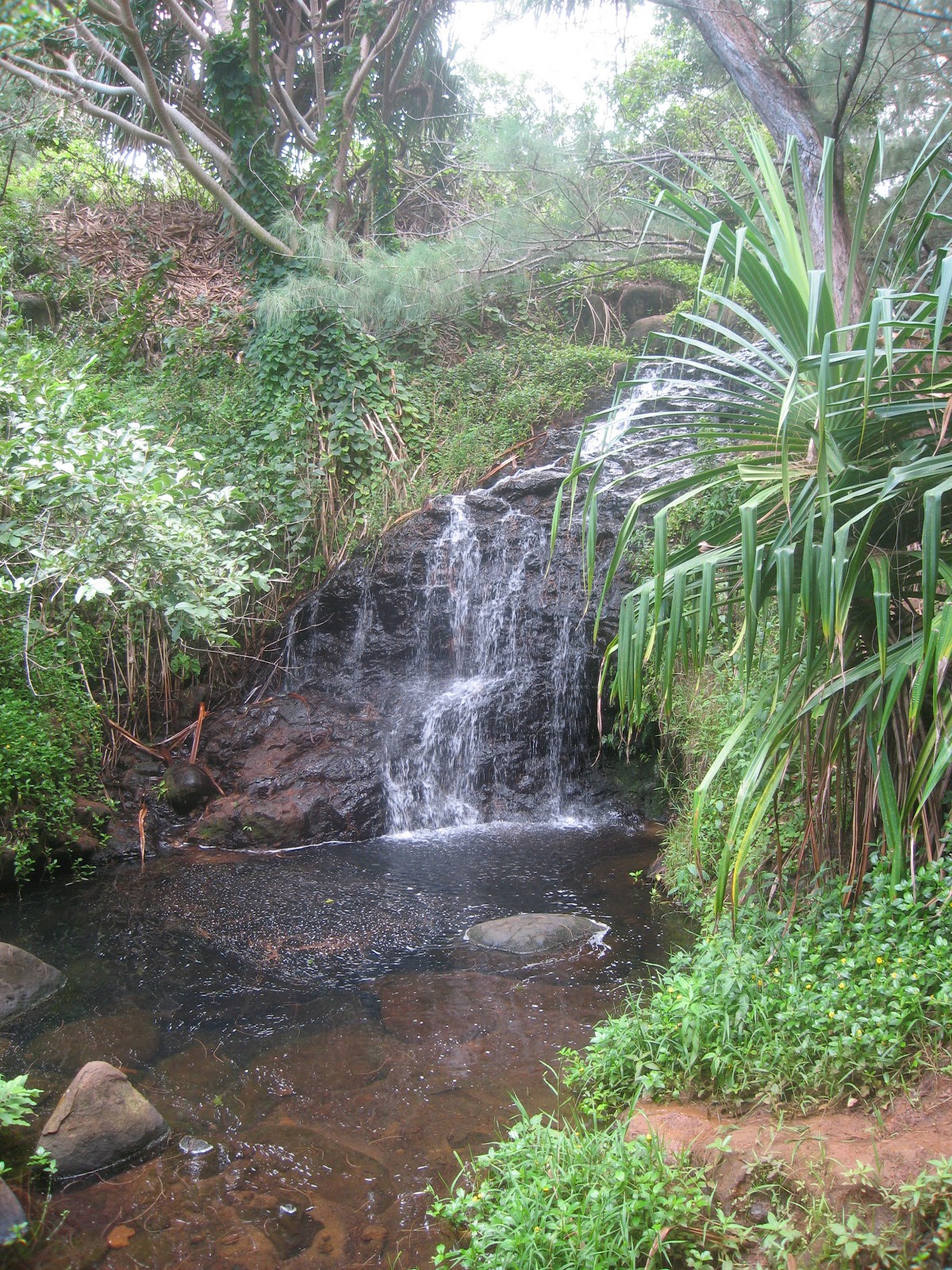Hawaii 2010 September 22 Queen's Bath and Hanalei