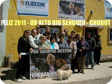 Carlos Eliceche, Gobernador del Chubut (FPV)