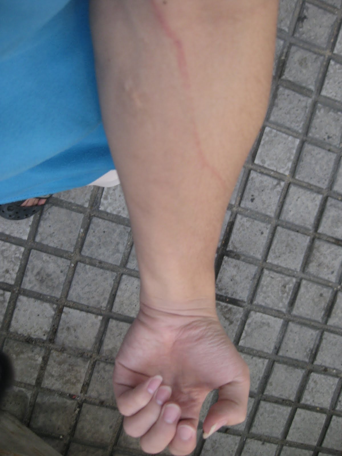 [IMG_4942.JPG]
