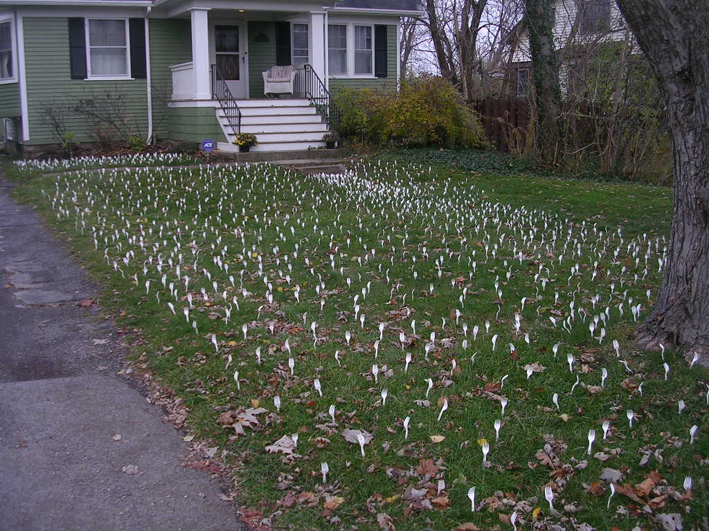 diamondposte November 2009