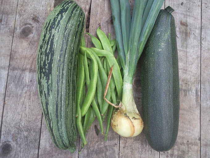 A small Harvest