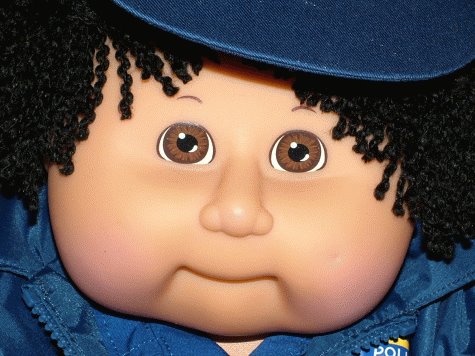 [cabbage+patch.bmp]