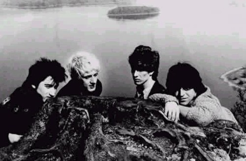 Return of the roughnecks the best of the chameleons rarely Return of the roughnecks the best of the chameleons rarely