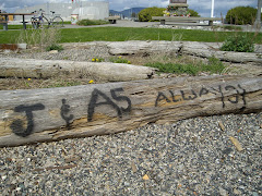 On the Beach at Anacortes